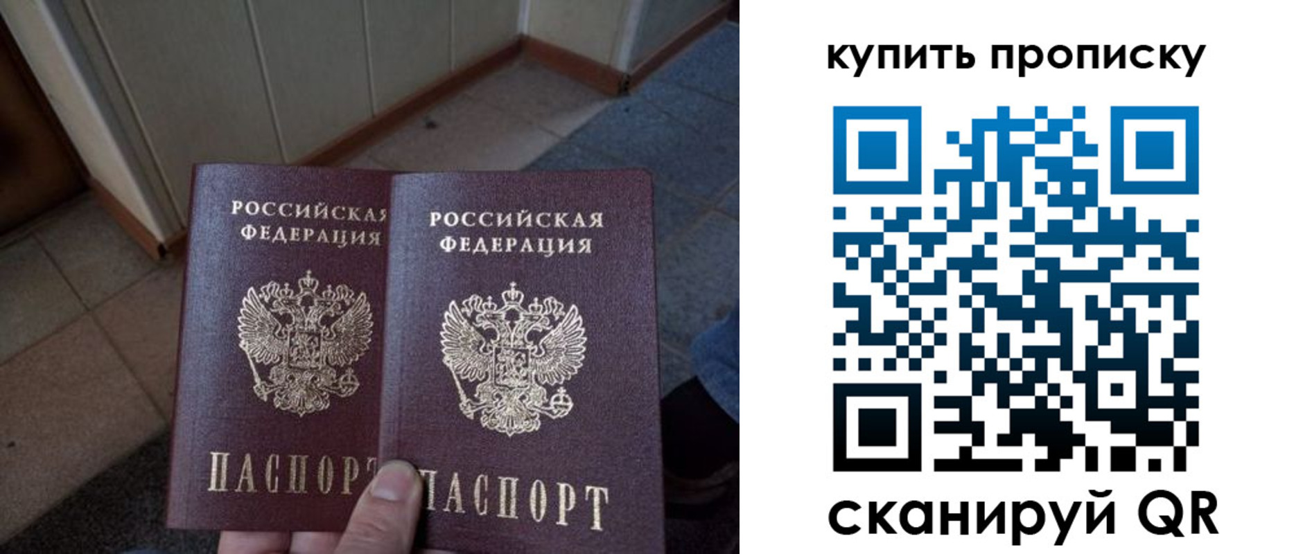 регистрация для школы в Снежногорске