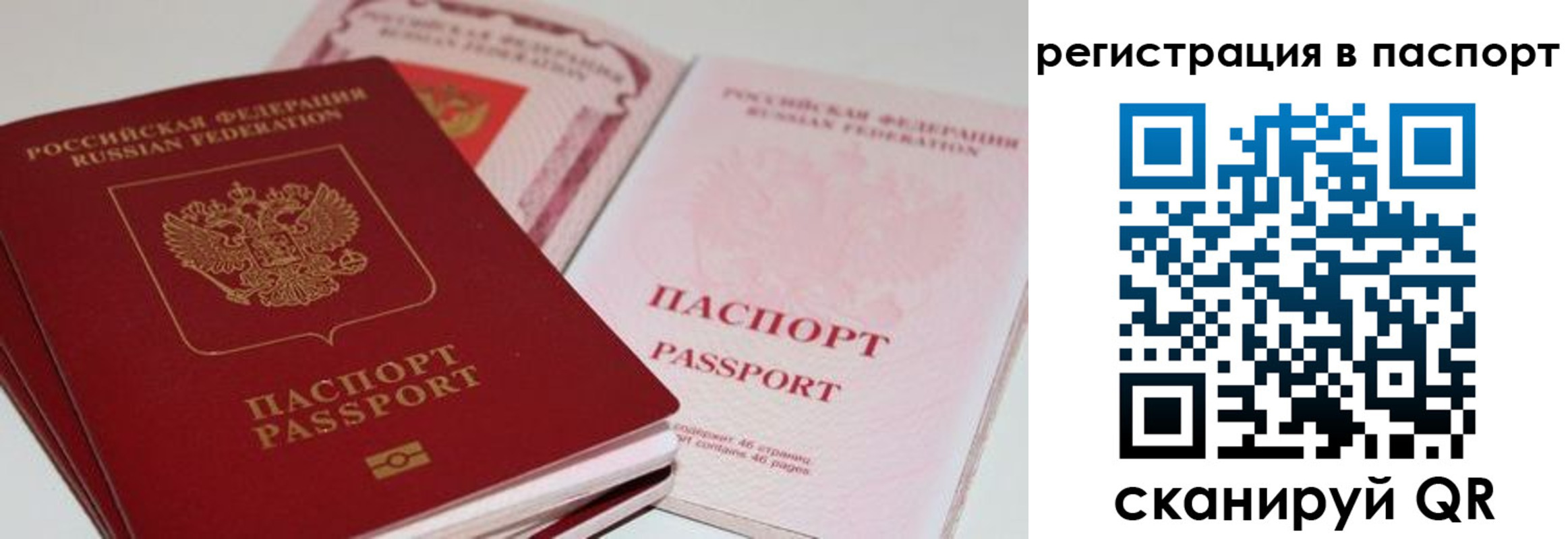 временная регистрация недорого в Снежногорске